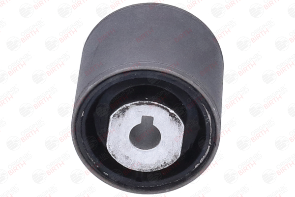 Número OEM 4 545 711 - Suspensión, Brazo oscilante 2594 SAAB