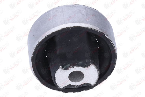 Draagarmlager 2733 BIRTH FIAT Doblo II Station Wagon (263) 1.8 MPI Flex (1196091) 2011 132 Pk