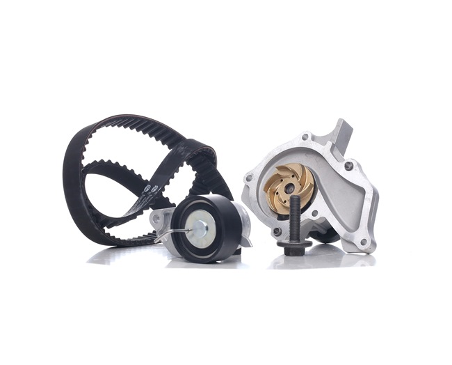 Pièces moteur Ford Fiesta 4: Kit de distribution + pompe à eau METELLI 30-0612-1