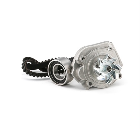 Zahnriemen und Wasserpumpe 30-0739-2 METELLI FIAT Seicento / 600 Schrägheck (187) 1.1 (187AXB, 187AXB1A, 187AXC1A02) 2005 54 PS