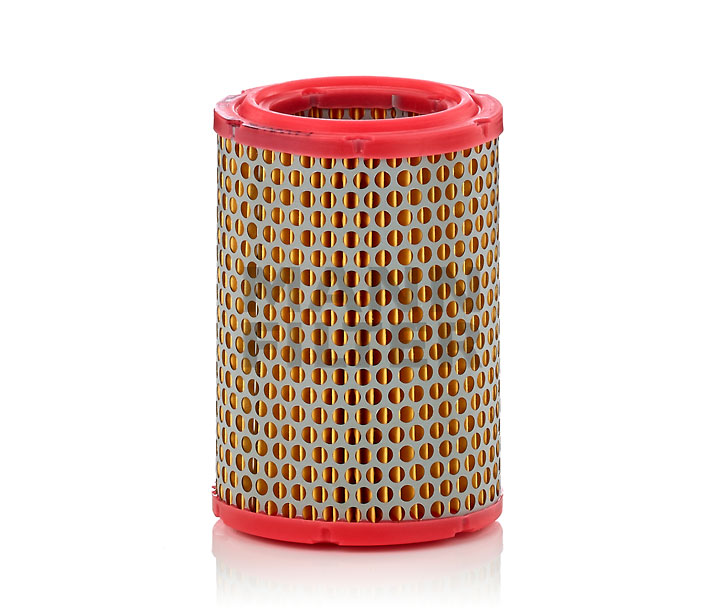 kupić MANN-FILTER (C 1134/1) Filtr powietrza