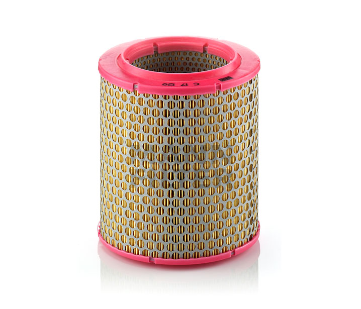 order MANN-FILTER (C 17 129) Air filter