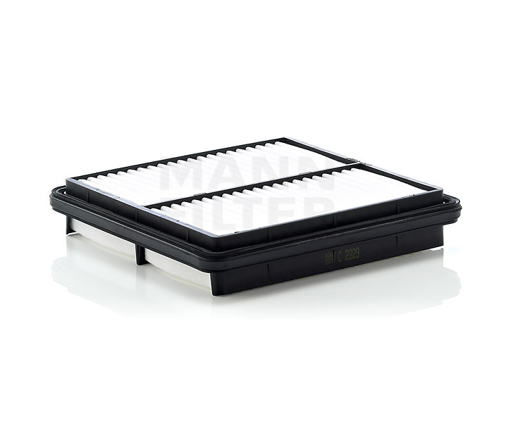 acquisto MANN-FILTER (C 2229) Filtro aria