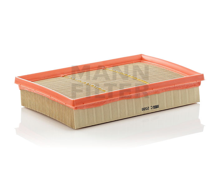 order MANN-FILTER (C 2589) Air filter