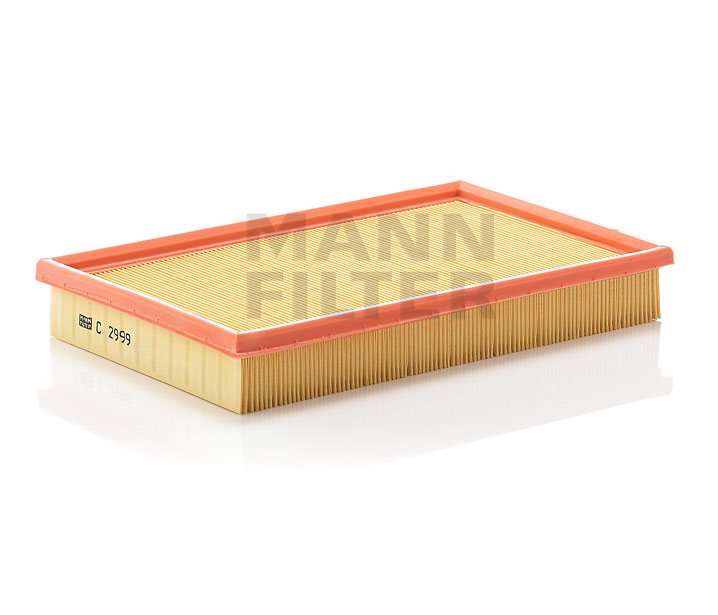 C 2999 MANN-FILTER 4236063 Air filter
