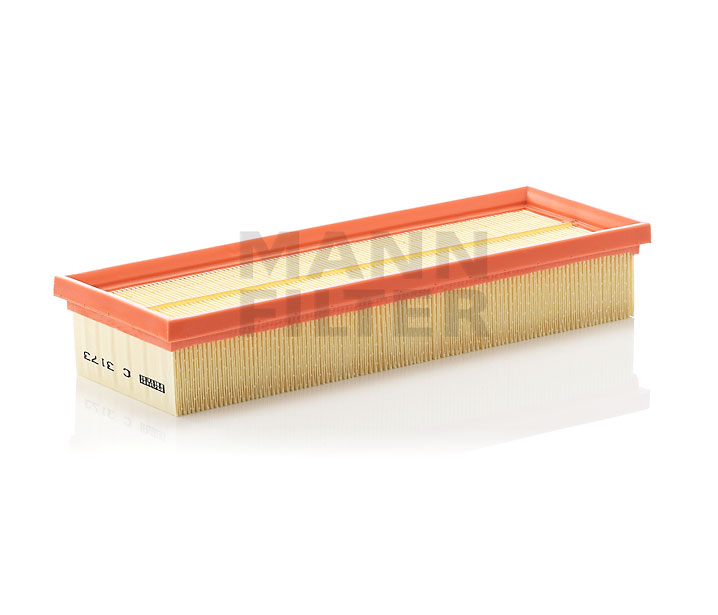 order MANN-FILTER (C 3173) Air filter