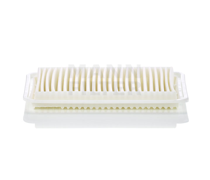 order MANN-FILTER (C 3220) Air filter