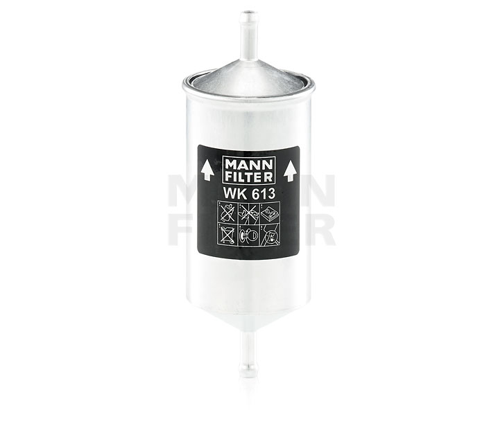 MANN-FILTER WK 613 Seat Cordoba 6K5 fuel filter replacement cost