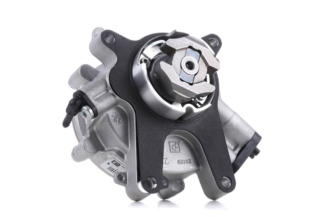PIERBURG 7.29023.04.0 FIAT Doblo II Platform/Chassis (263) brake vacuum pump replacement cost