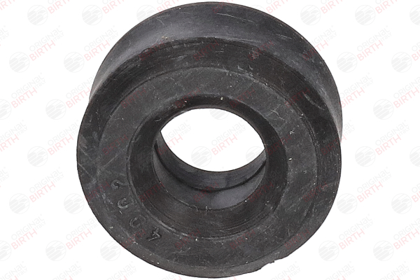 BIRTH | Supporto stabilizzatore Assale anteriore Sx, Assale anteriore Dx 4002 INNOCENTI Mini Hatchback 1984 economici online