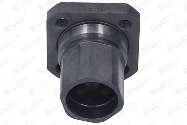 Wasserflansch 4030 BIRTH OPEL Corsa C Schrägheck (X01) 1.3 CDTI (F08, F68) 2003 70 PS