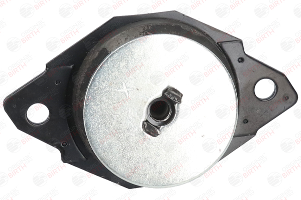 50509 BIRTH 357199381A Engine mount
