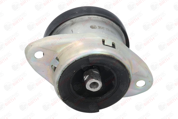 Numer OEM 1844 66 - Łożyskowanie silnika 50547 FORD, PEUGEOT, CITROËN, DS