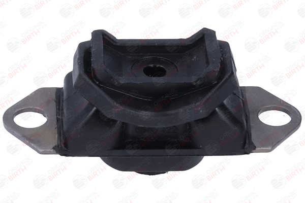 Supporto motore 51469 BIRTH RENAULT Espace IV (JK) 2.0 dCi (JK03, JK04, JK1C, JK1G, JK1J, JK1K) 2017 173 CV