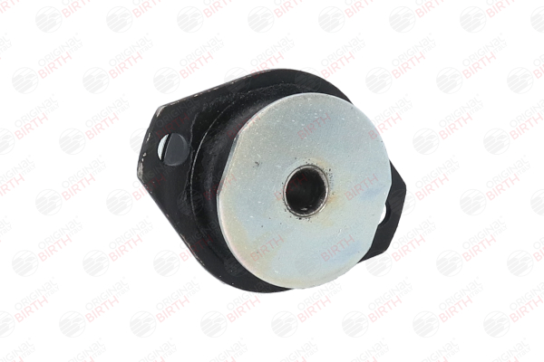 BIRTH | Supporto del motore Assale anteriore 51549 IVECO Daily II Bus 1998 economici online