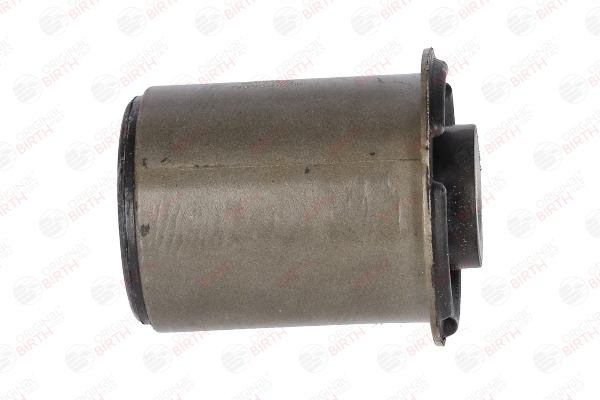Supporto assale 51790 BIRTH Volkswagen Passat B6 Variant (3C5) 1.6 TDI 2010 105 CV