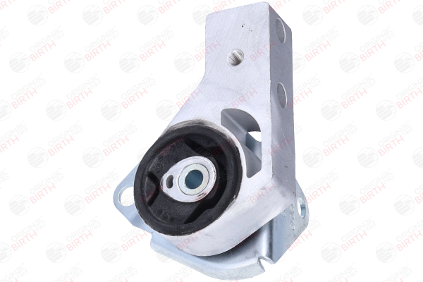 Lager, differensial 52019 BIRTH FIAT Panda II Hatchback (169) 1.3 JTD Multijet 4x4 (169AXG1A, 169AXG2A) 2012 75 hk