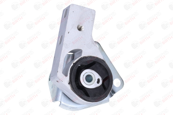 Lager, differensial 52020 BIRTH FIAT Panda II Hatchback (169) 1.3 JTD Multijet 4x4 (169AXG1A, 169AXG2A) 2013 75 hk