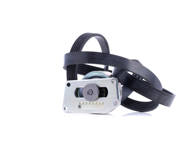 INA 529 0216 10 PEUGEOT Partner Origin Van (G_) poly v-belt kit replacement cost